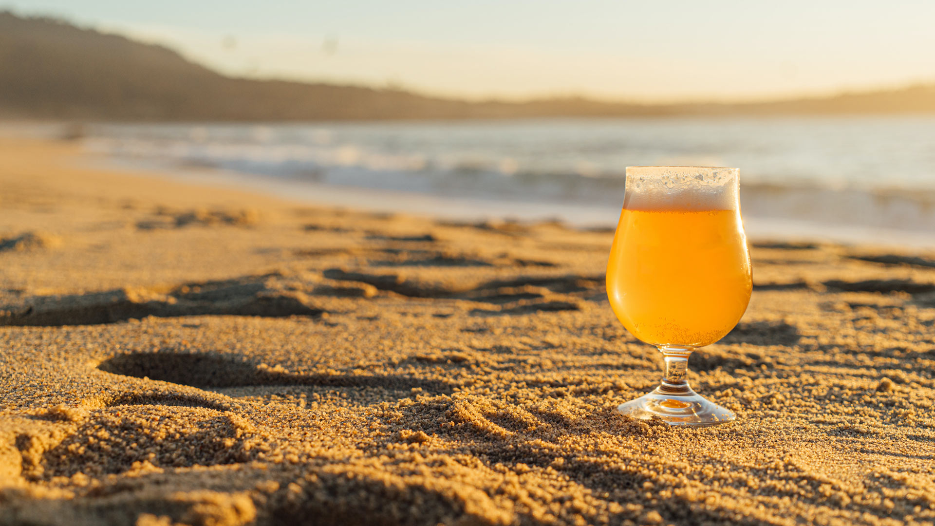 San Diego Brew Festival 2023 All Seasons Resort Lodging