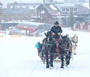 Snowed Inn Sleigh Park City